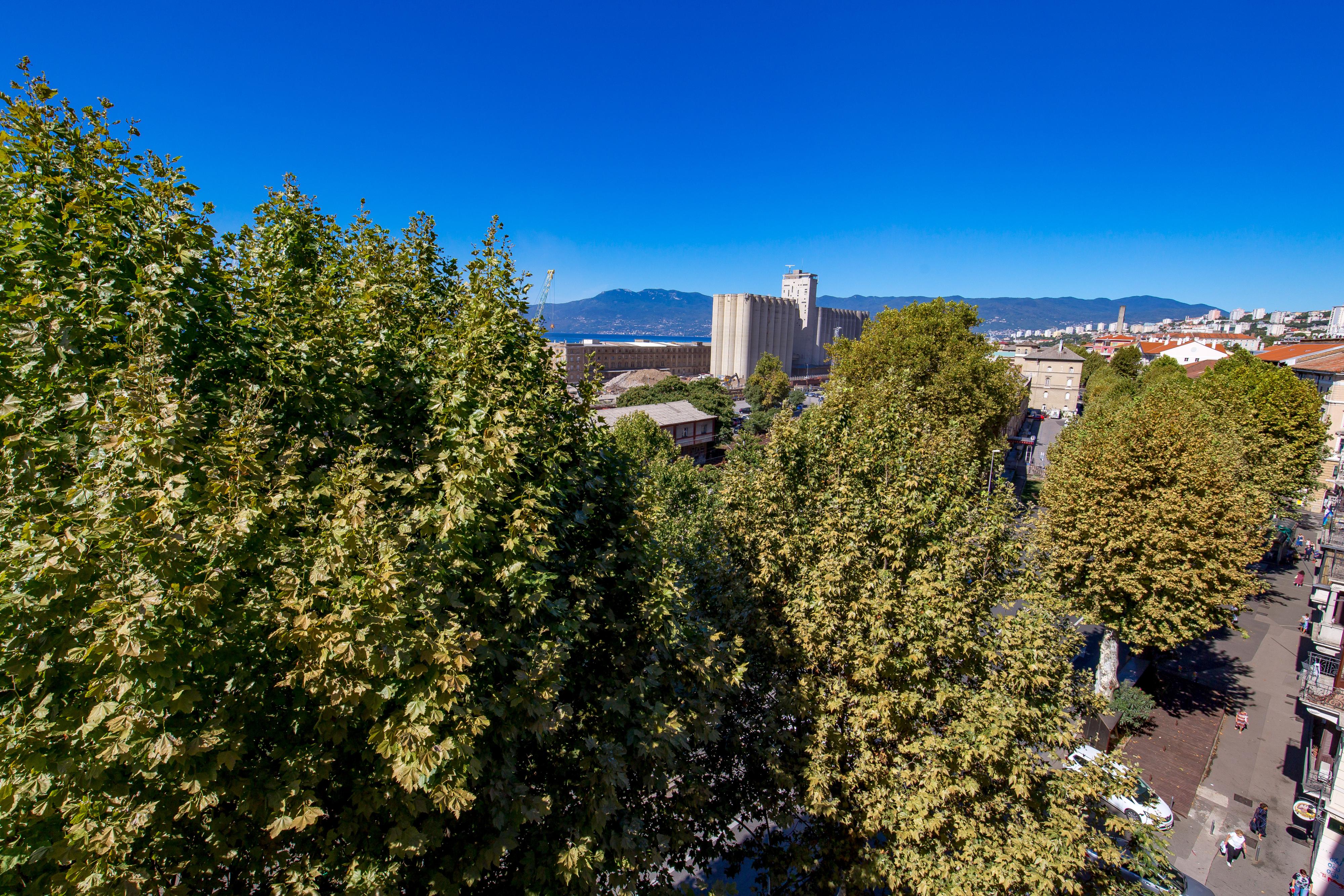 bristol_8 (6)